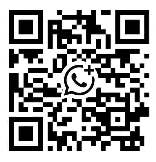 8808 whatsapp
