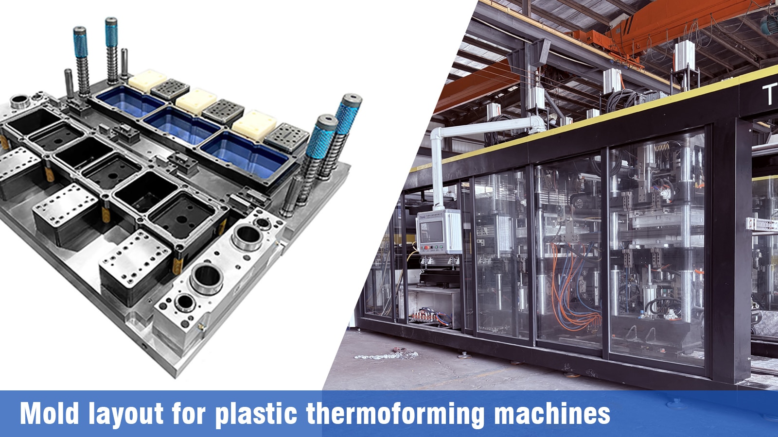 Mold Layout Diagram for Plastic Thermoforming Machine