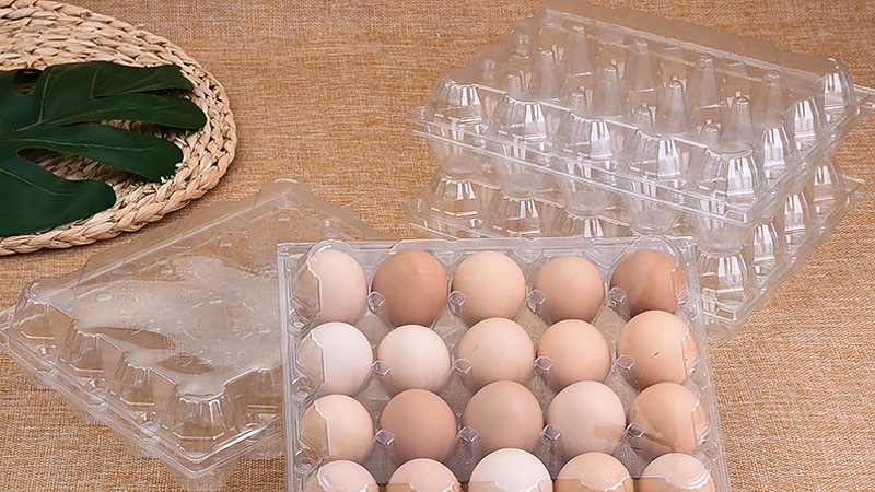 plastic egg tray