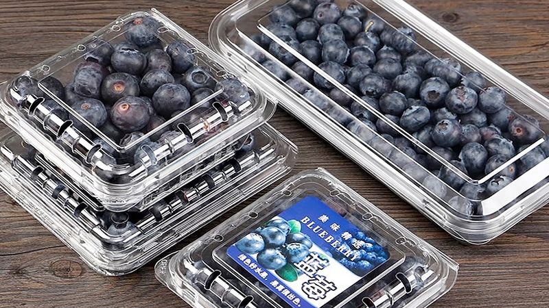 Blueberry-packaging-box1