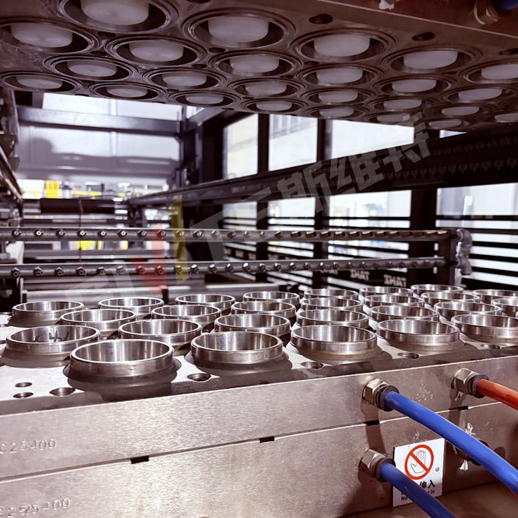 Sweit Plastic Cup Making Machine Mold
