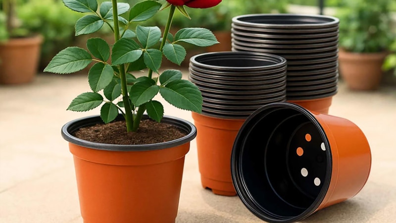 Thermoformed-plastic-flower-pots