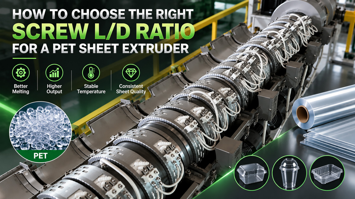 PET Sheet Extrusion screw